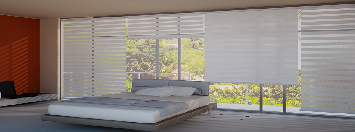 Duo roller shades